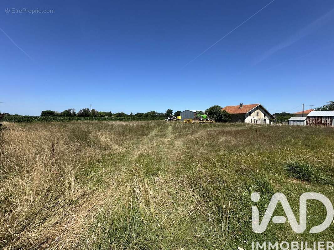 Terrain 566 m² à Saubrigues  - photo 6