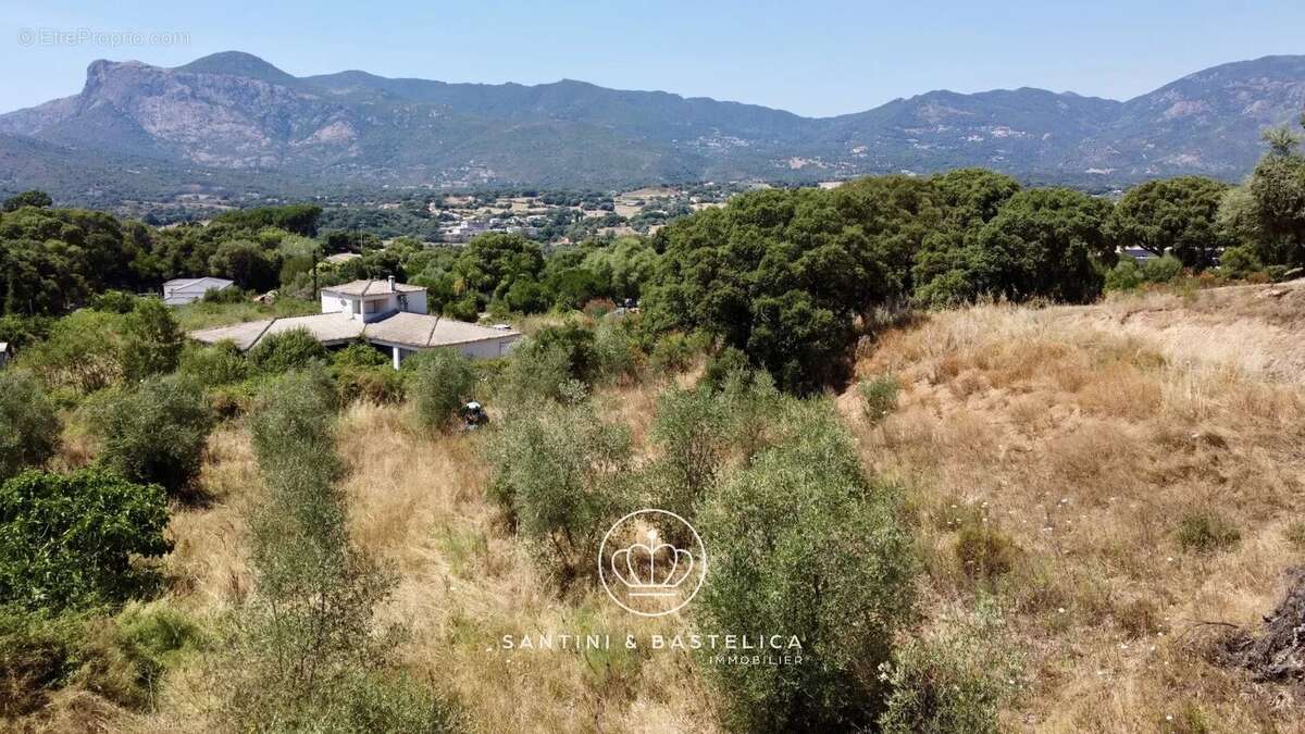 Terrain constructible à Cuttoli-Corticchiato – Vue dégagée sur le Mont Gozzi - photo 2