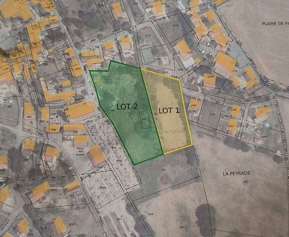 Terrain constructible de 4217 m²  à Mirandol Bourgnounac - photo 5
