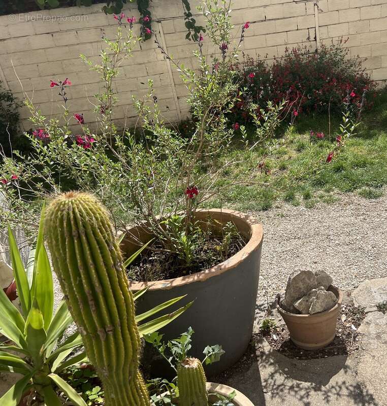 Appartement à BOIS-COLOMBES