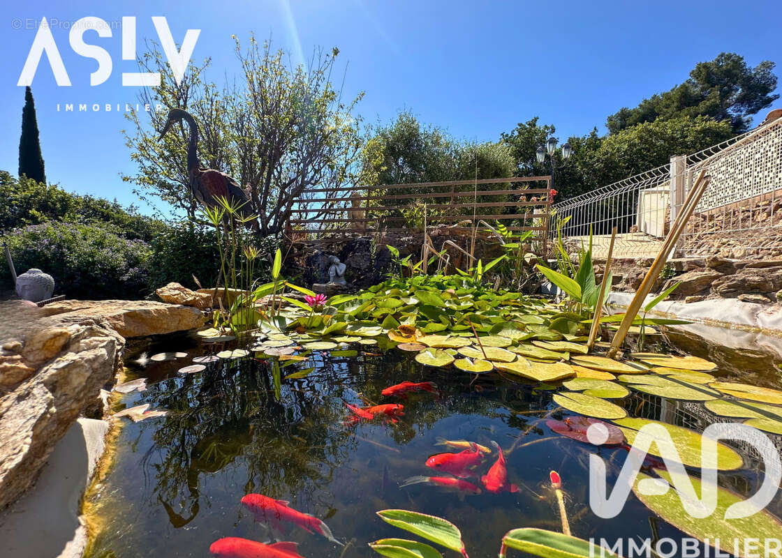 Photo 3 - Maison à SIX-FOURS-LES-PLAGES