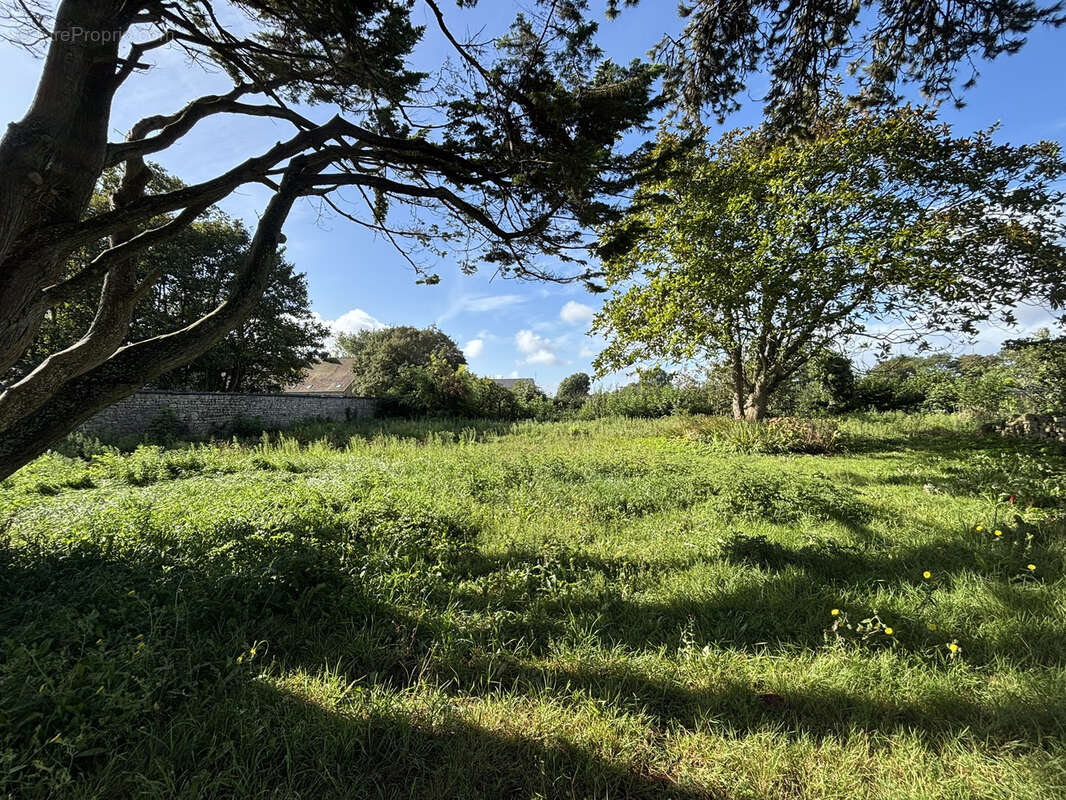 Maison à VIERVILLE-SUR-MER