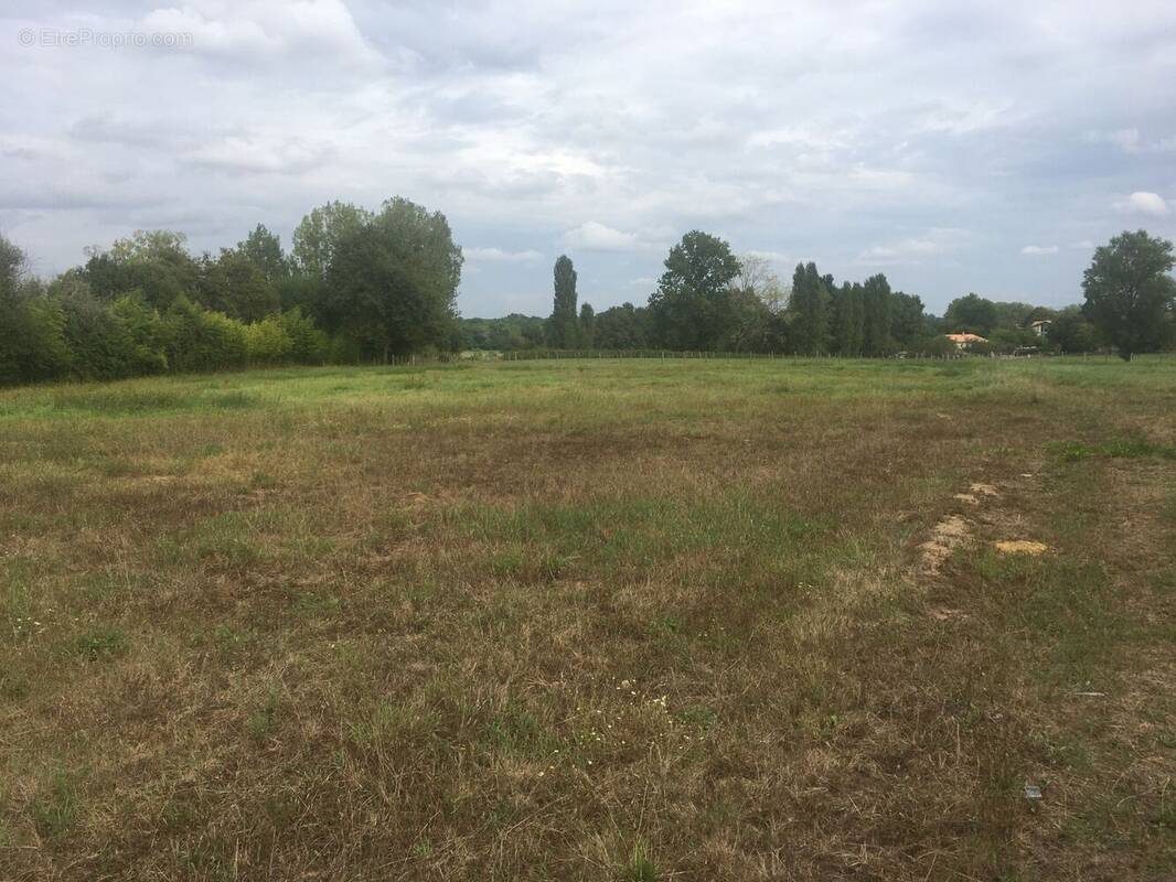 Terrain à CAVIGNAC
