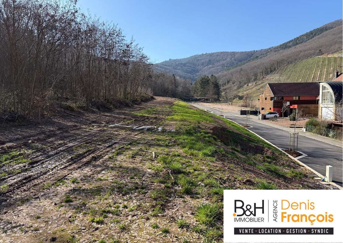 Terrain à KATZENTHAL