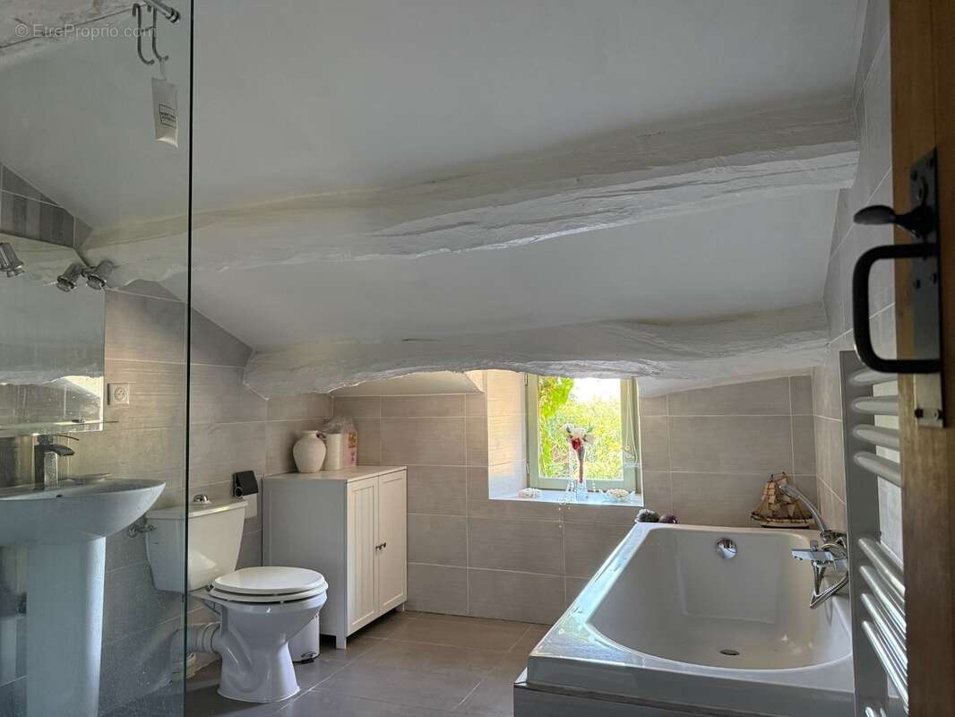 Maison de caractère en pierre avec piscine et sauna à la caunette - photo 7