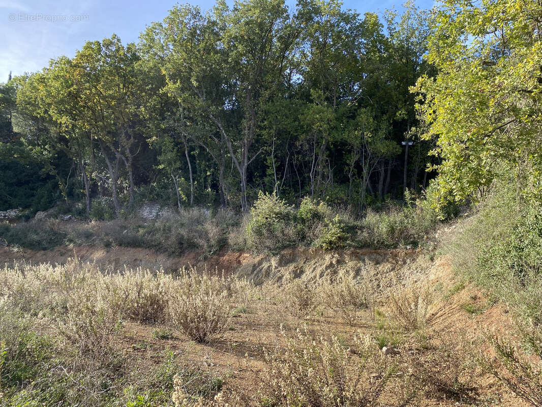 Terrain à CLERMONT-L&#039;HERAULT