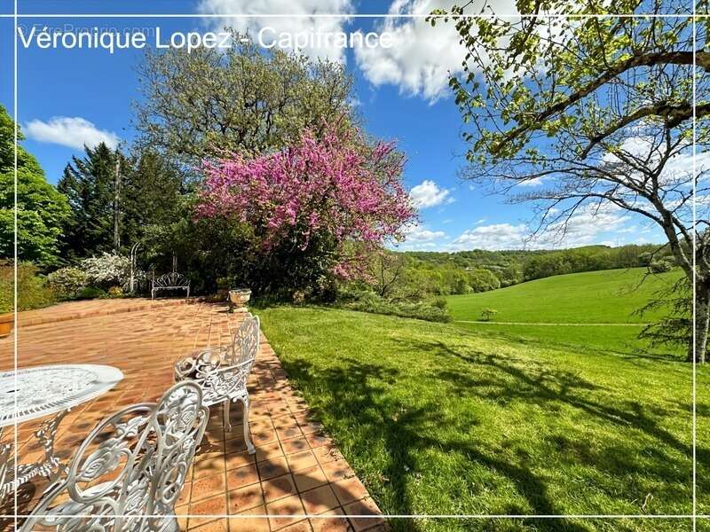 Golfech, à 10 minutes, propriété de charme au cœur de la nature sur plus de 15 hectares - photo 9