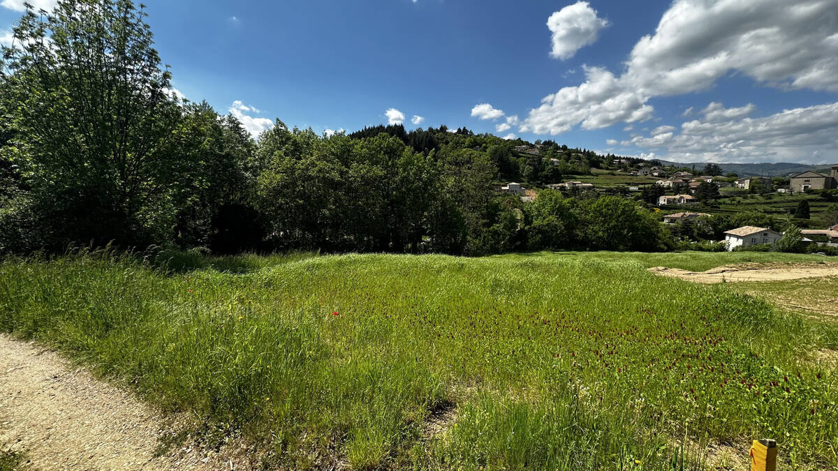 Terrain à DESAIGNES