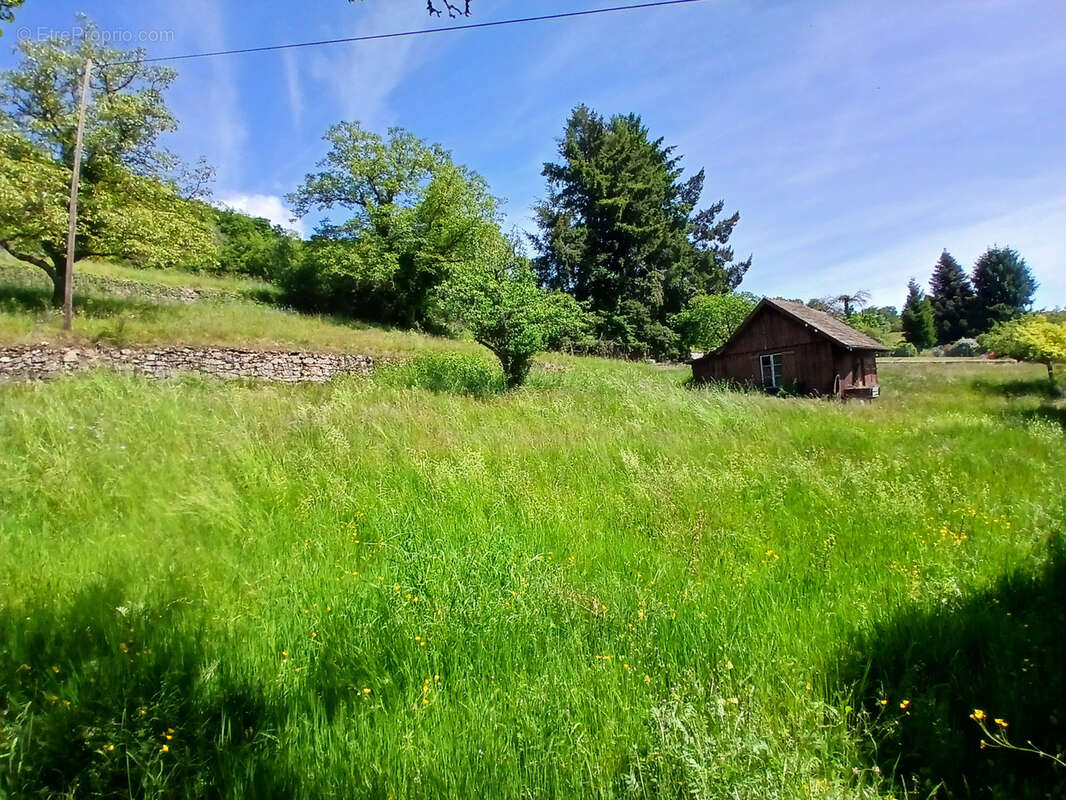 Terrain à MUNSTER