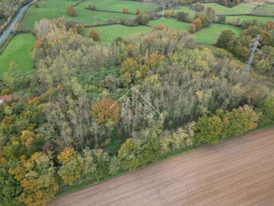 Terrain à SALIGNY-SUR-ROUDON