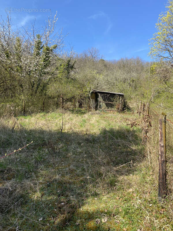 Appartement à ARS-SUR-MOSELLE