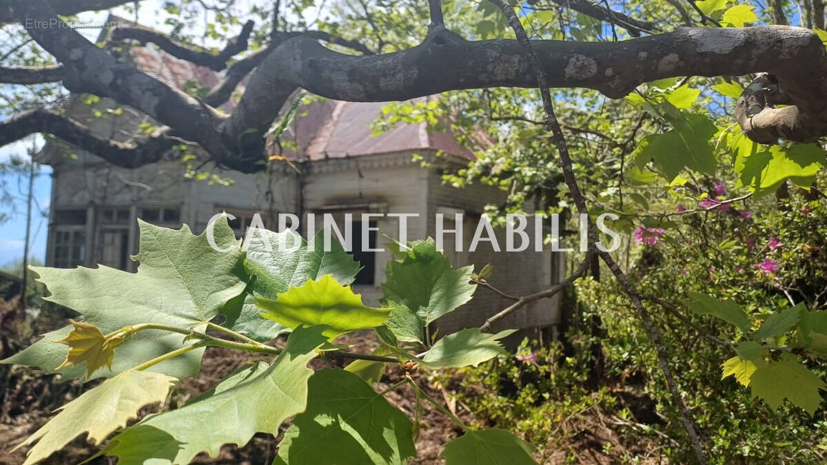 Terrain à LA PLAINE-DES-PALMISTES