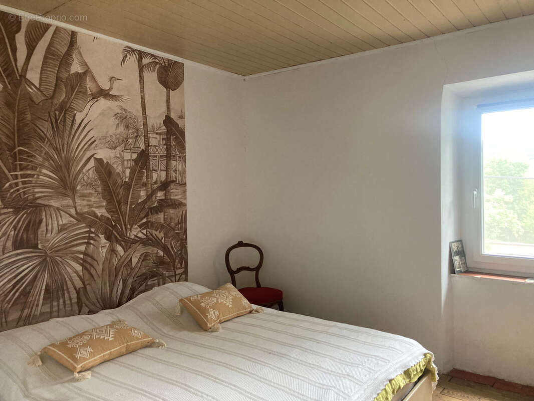 Corbières vertes, maison 4 chambres terrain 5000m2 avec source - photo 3