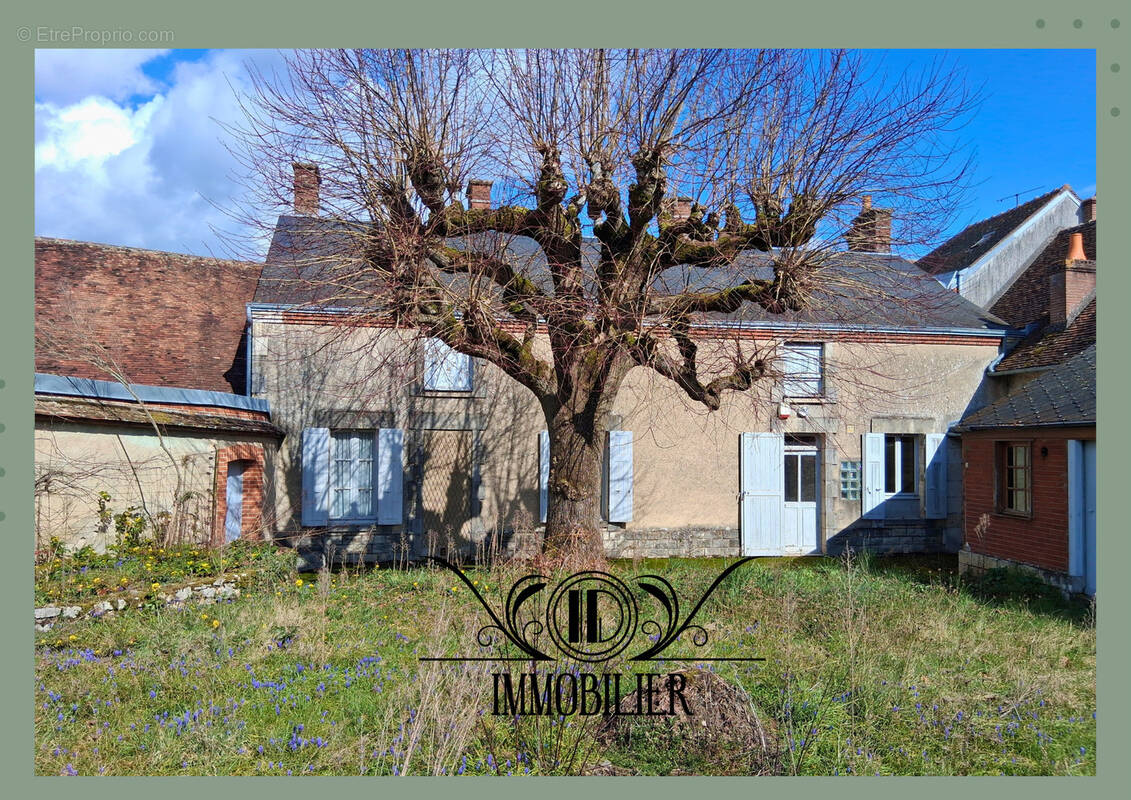 Maison à OUZOUER-SUR-TREZEE
