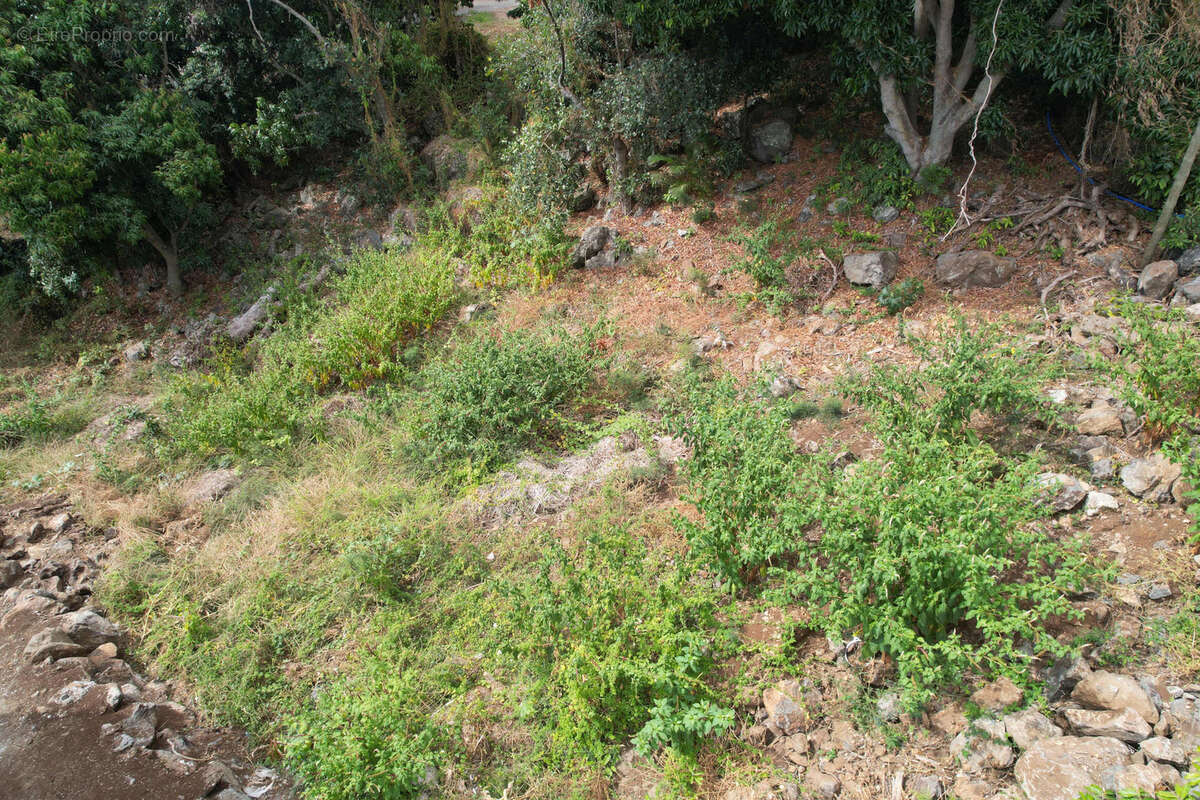 Terrain à SAINT-PAUL