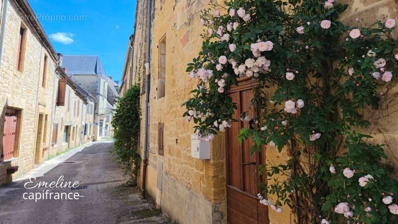 Maison à SALIGNAC-EYVIGUES