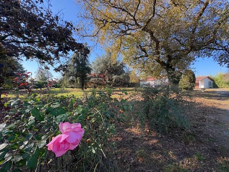 Maison à AIRE-SUR-L&#039;ADOUR