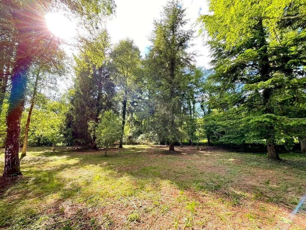 Maison à SAINT-BRISSON