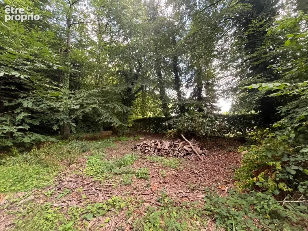 Maison 5 chambres avec un parc boisé - photo 3