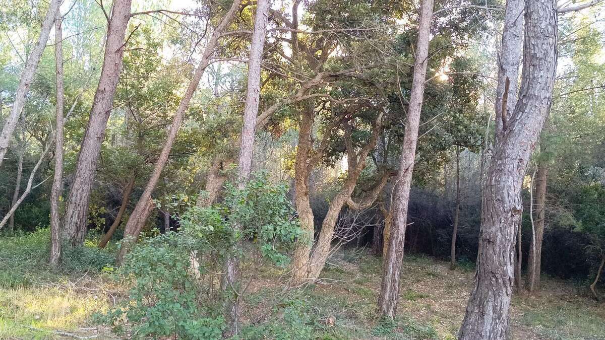 Terrain à SIX-FOURS-LES-PLAGES