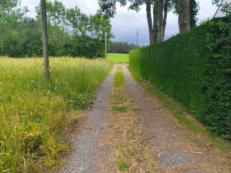 Dpt Haute Garonne (31), à vendre VILLENEUVE LECUSSAN maison à rénover T5 de 107m² habitables + abris voitures sur 730m² de terra - photo 18