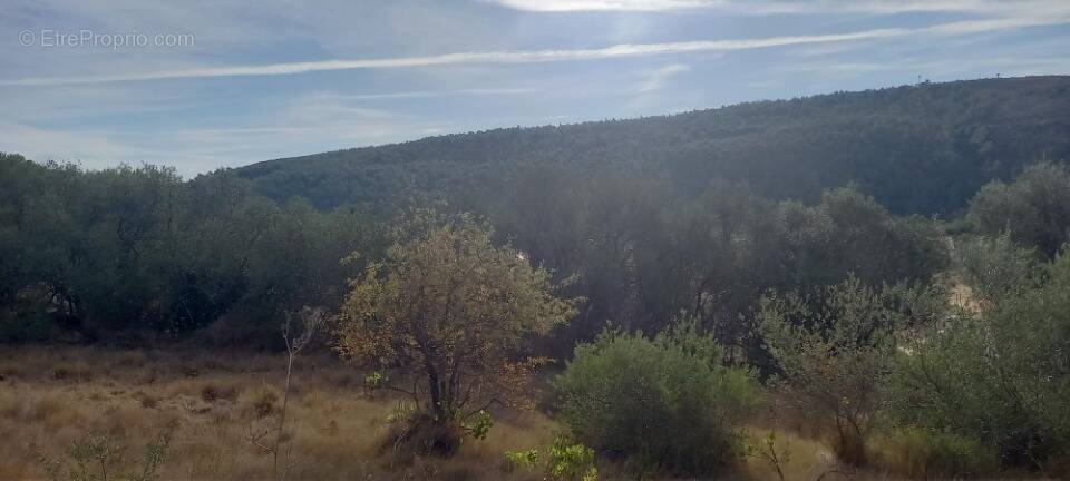 Terrain à BIZE-MINERVOIS
