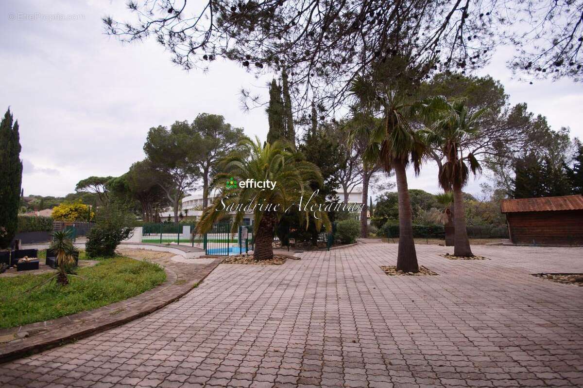 Appartement - photo 9