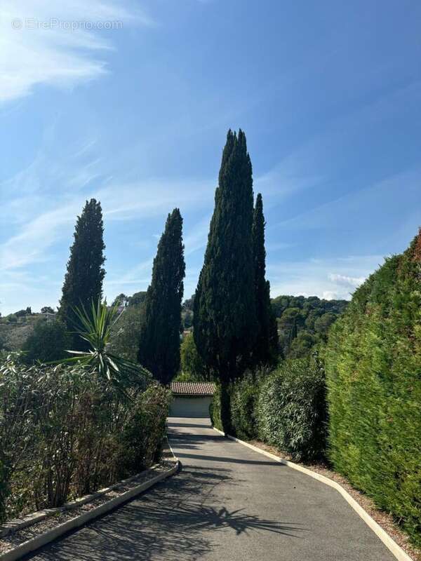 Maison 204m² à MOUGINS - photo 4