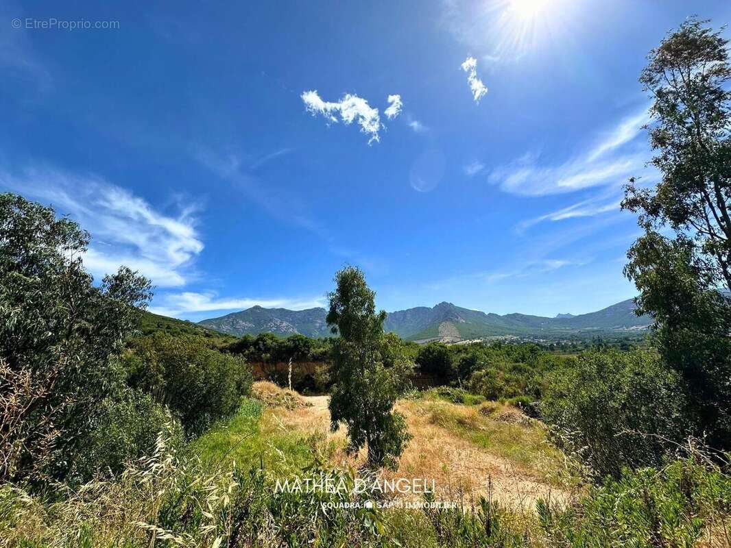 Terrain 2620 m² à Moncale  - photo 2