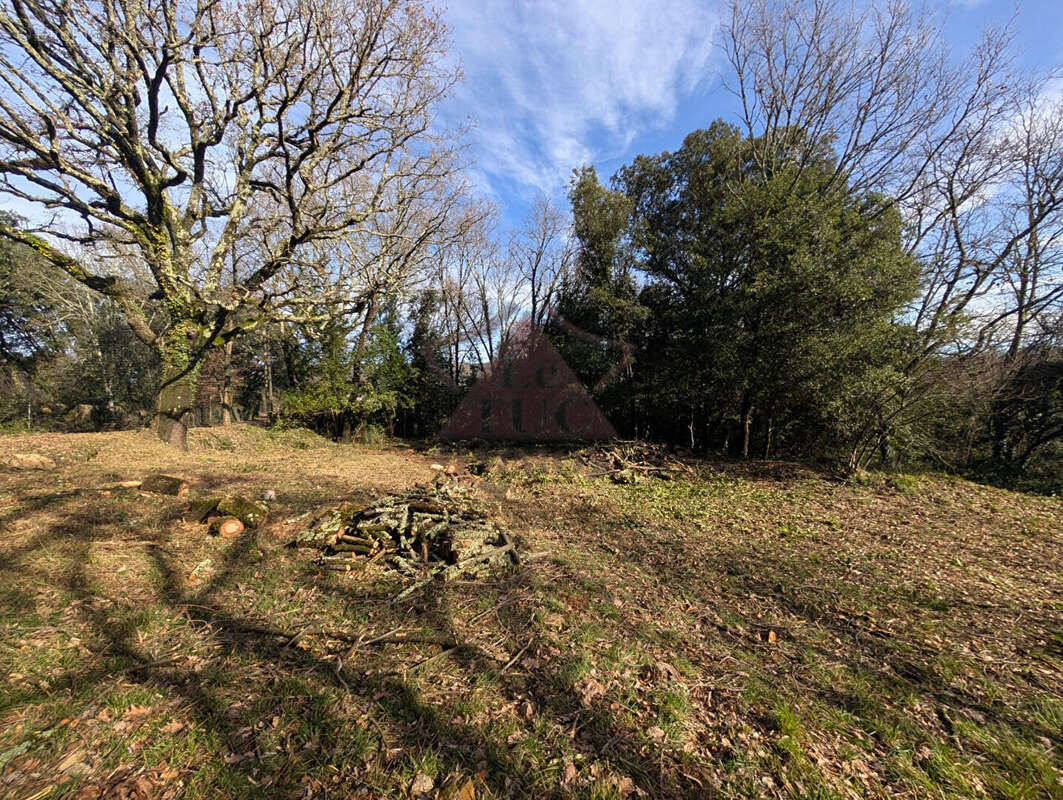 Terrain à MOLIERES-SUR-CEZE