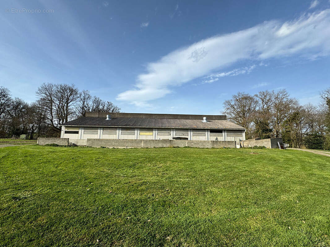 Commerce à MAZEIRAT