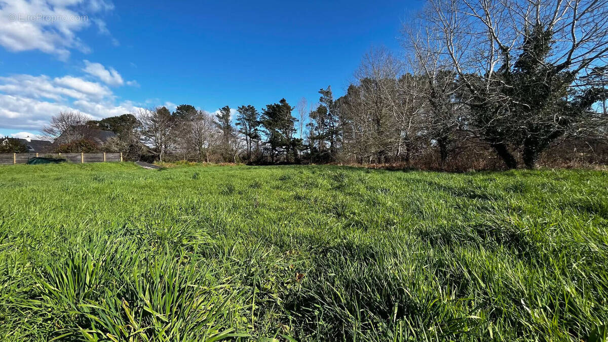 Terrain à TREFFIAGAT