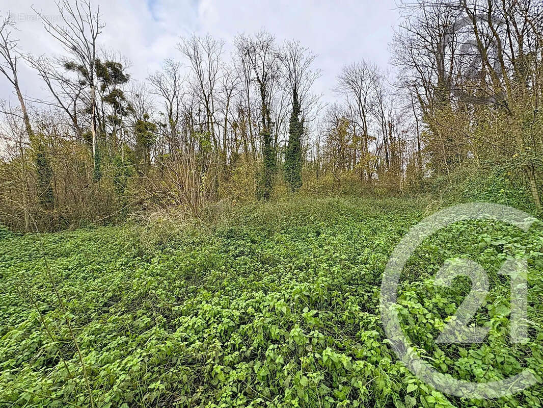 Terrain à CHALAUTRE-LA-PETITE