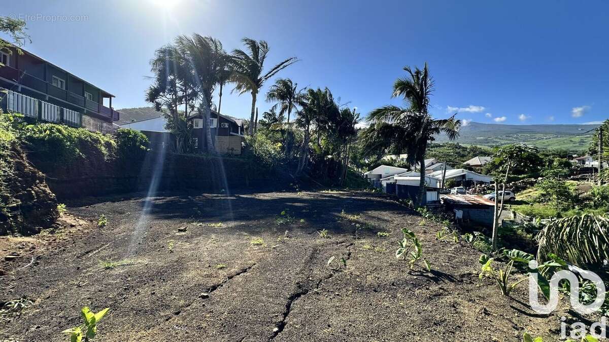 Photo 3 - Terrain à SAINT-JOSEPH