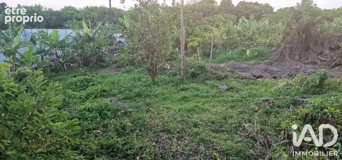 Photo 1 - Terrain à LE TAMPON