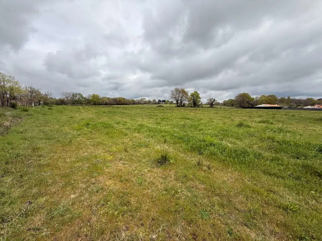 Terrain 309 m²  libre de constructeur - photo 2