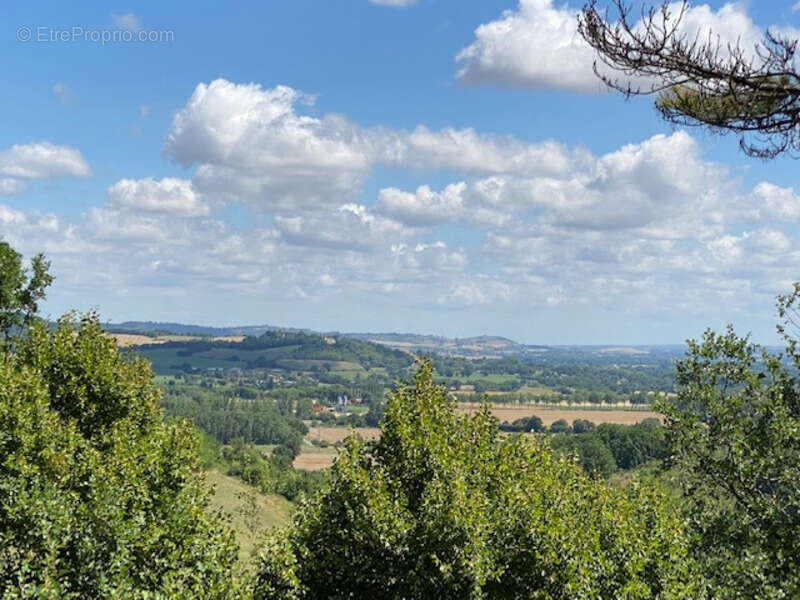 Dpt Tarn (81), à vendre PUYLAURENS maison P9 de 260 m² - Terrain de 5 571,00 m² - photo 41