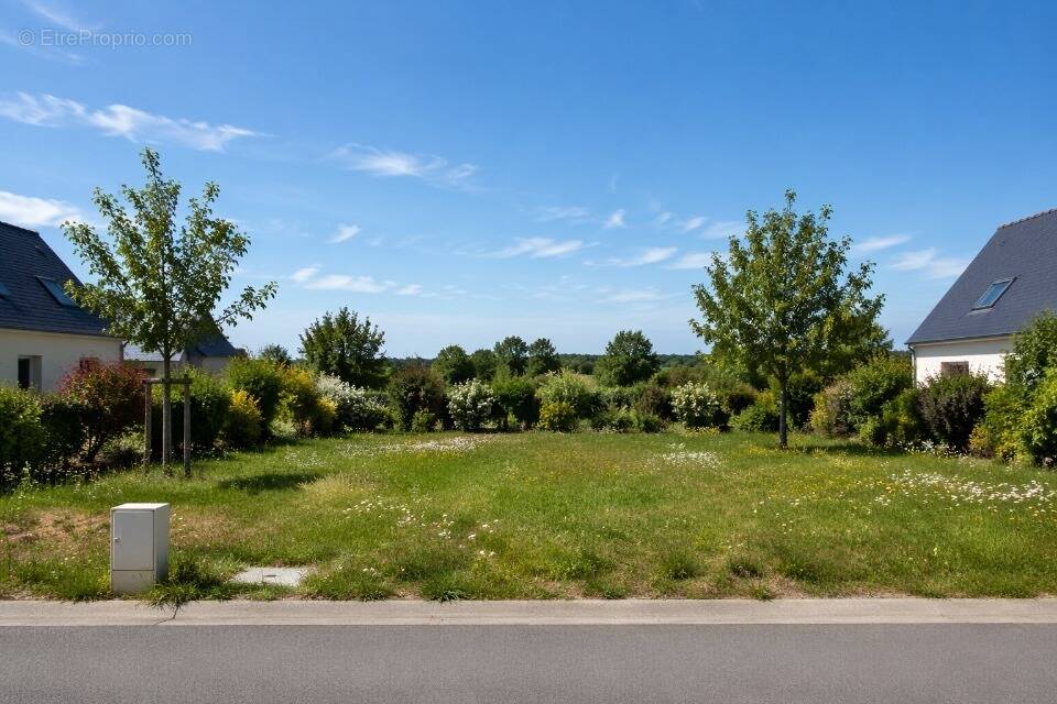 Terrain à AZAY-LE-RIDEAU
