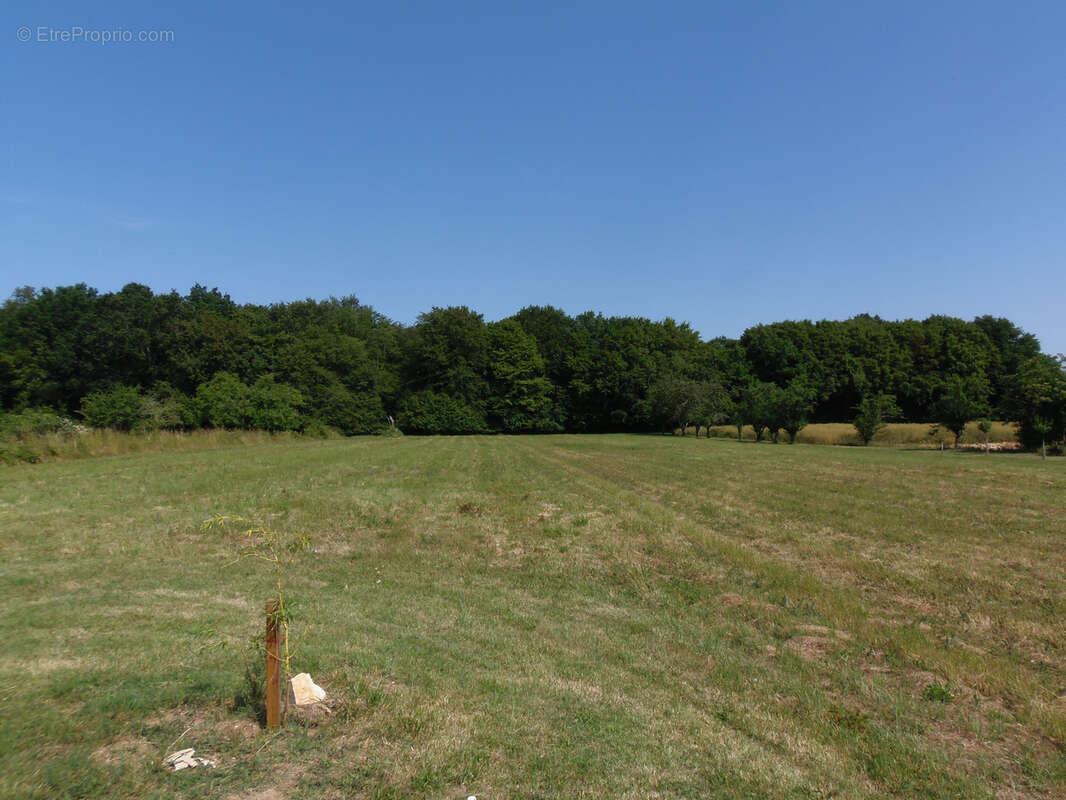 Maison à SAINT-FORT-SUR-GIRONDE