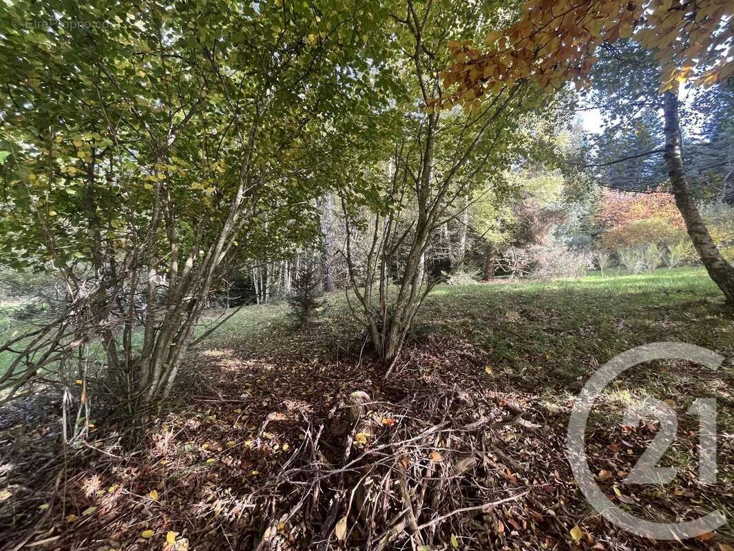 Terrain à BURDIGNES