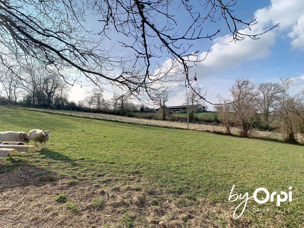 Maison à CHATEAU-SUR-CHER