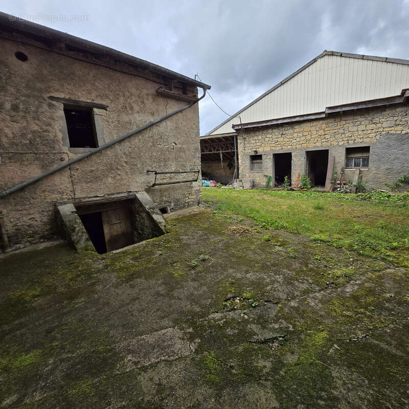 Maison à BRALLEVILLE