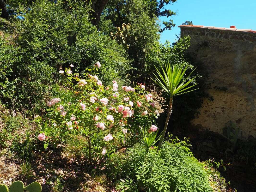 Maison à LA GARDE-FREINET