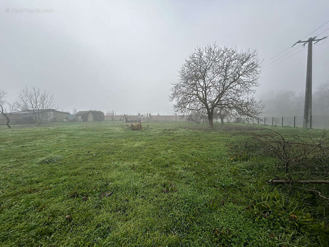 Maison à MARSEILLES-LES-AUBIGNY