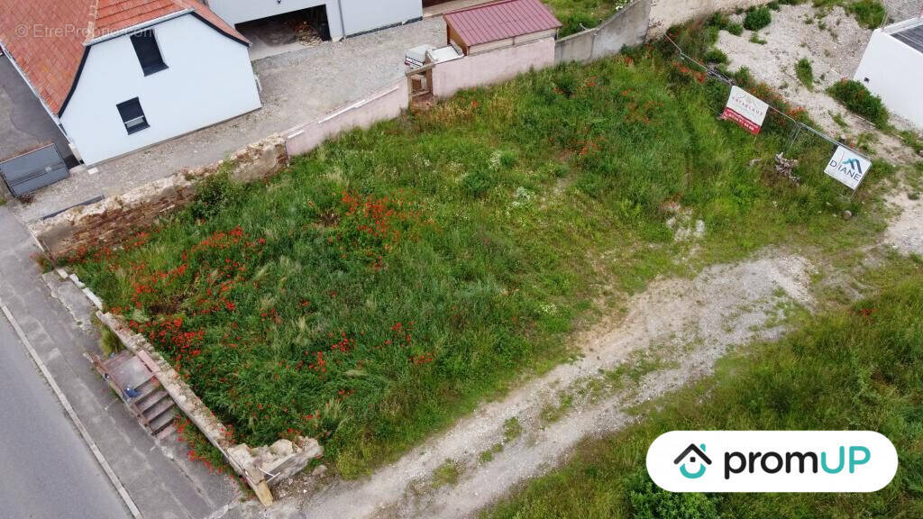 Terrain à HIRTZFELDEN