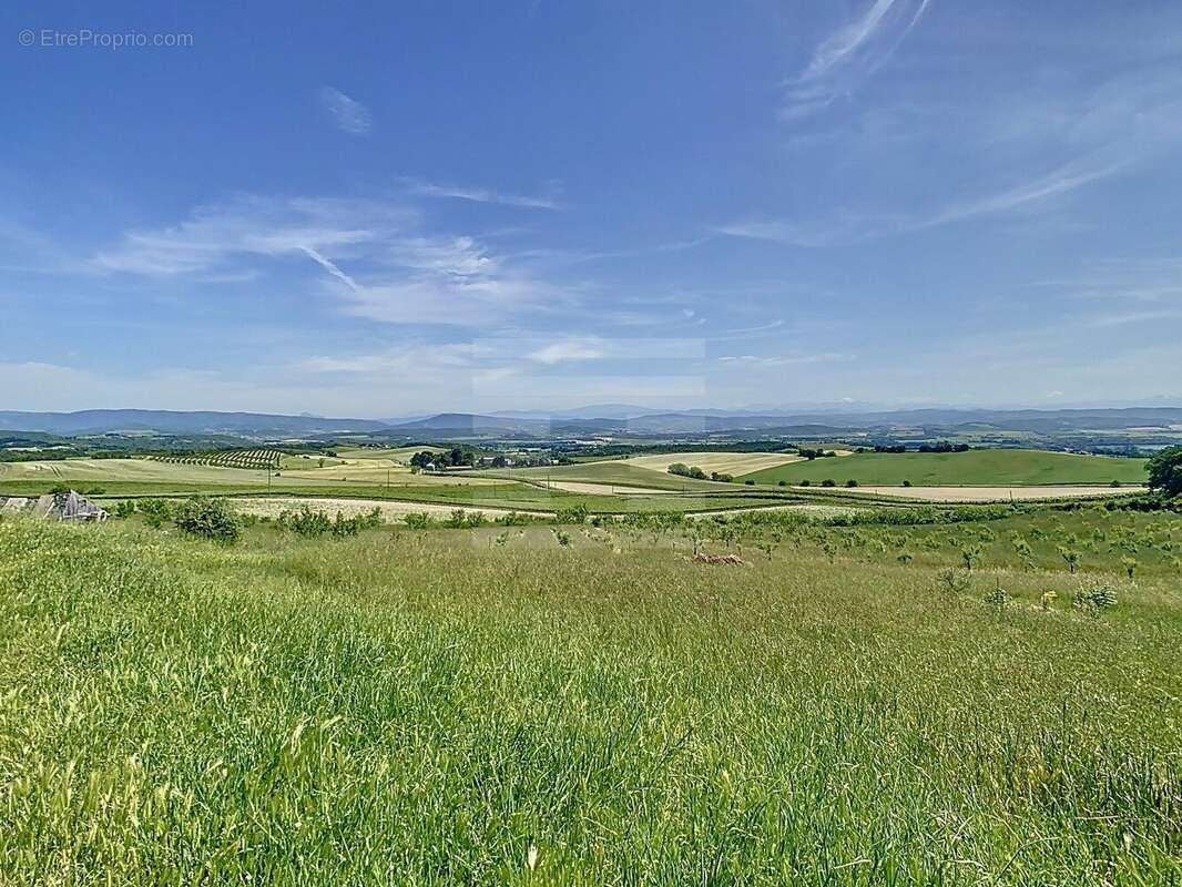 Vaste Propriété Rurale au Pied du Massif de la Malepère  Vue Imprenable sur les Pyrénées  86 ha - photo 12