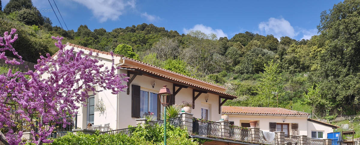 Maison à PIETROSELLA