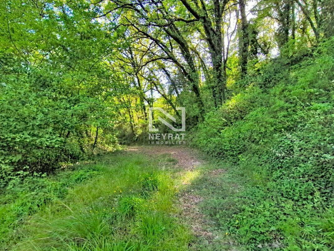 Terrain à TOURRETTES