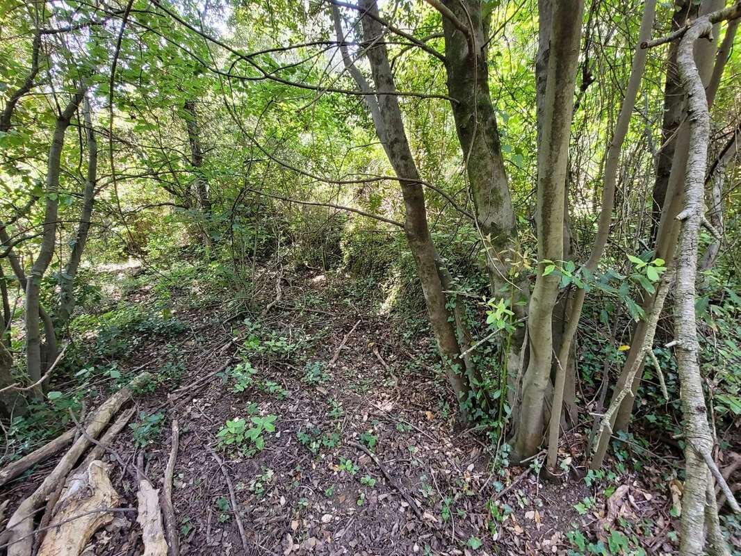 Terrain à SAINT-JULIEN-LES-ROSIERS