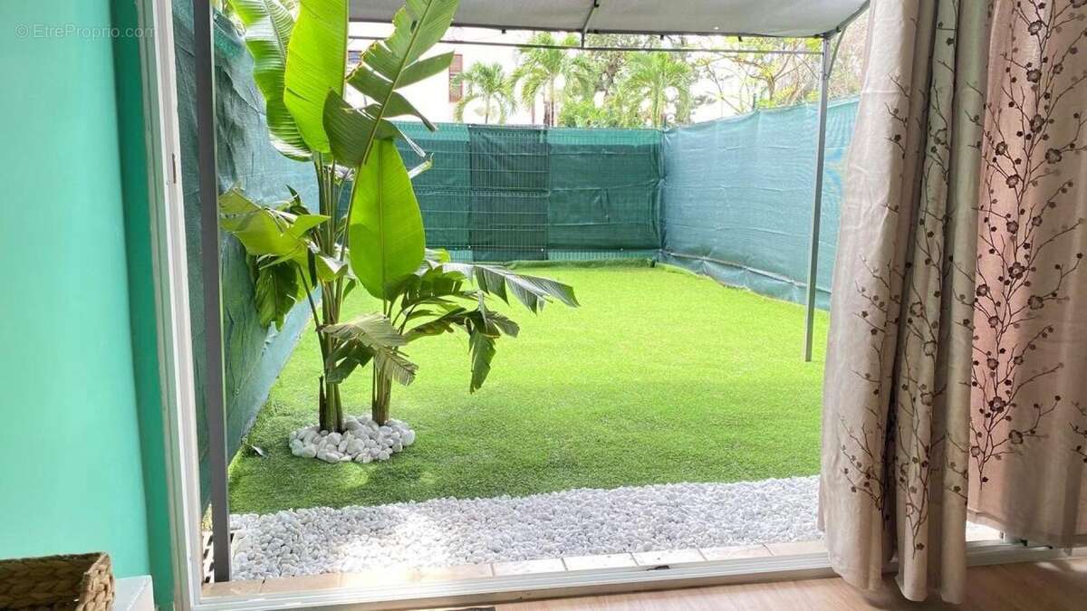 Photo 2 - Appartement à CAYENNE